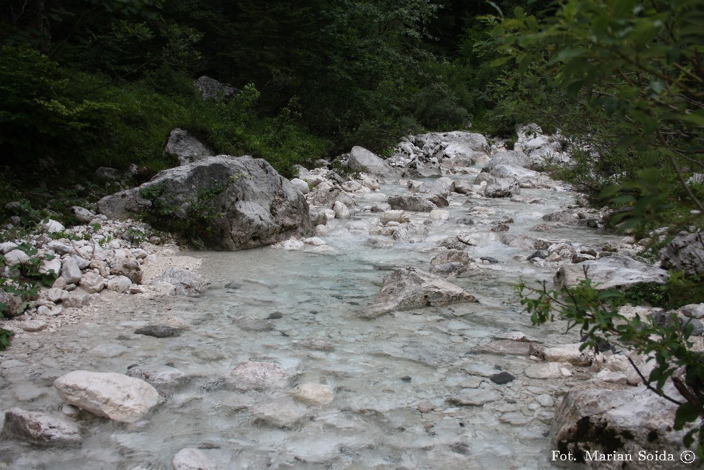 Potok Bistrica w Dolinie Vrata