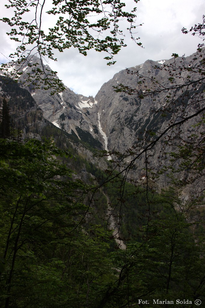 Widok z podejścia pod Kokrską Przełęcz