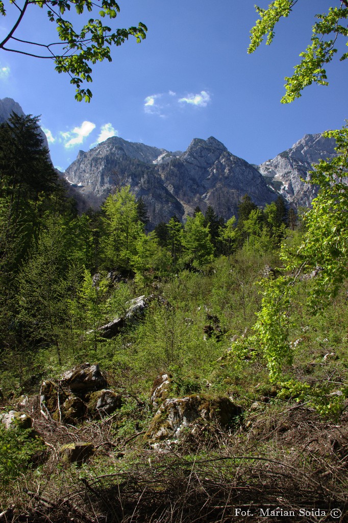 Widok z doliny na Kokrską przełęcz i grzbiet Grintowca