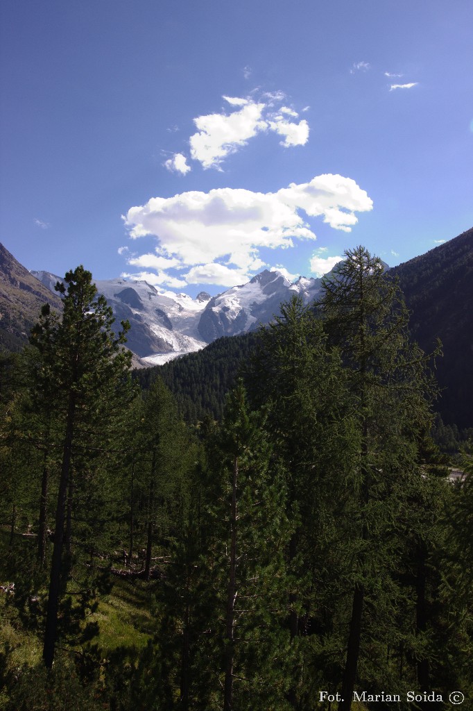 Piz Bernina z drogi na Bernina Pass