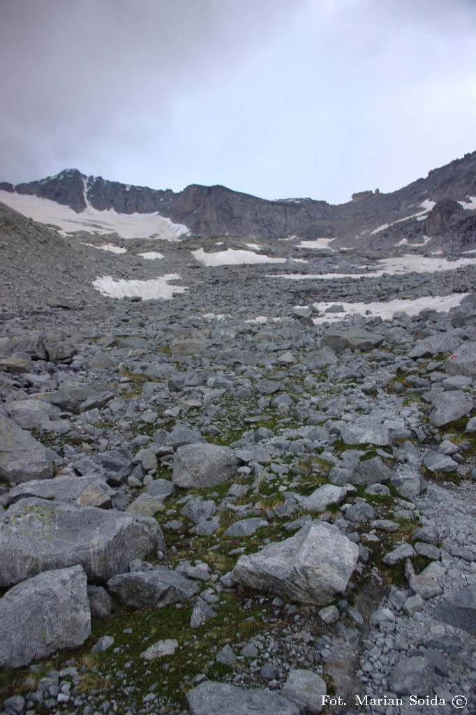 Hochalmspitze z lodowcem Tripp i skałą Steinerne Mandln