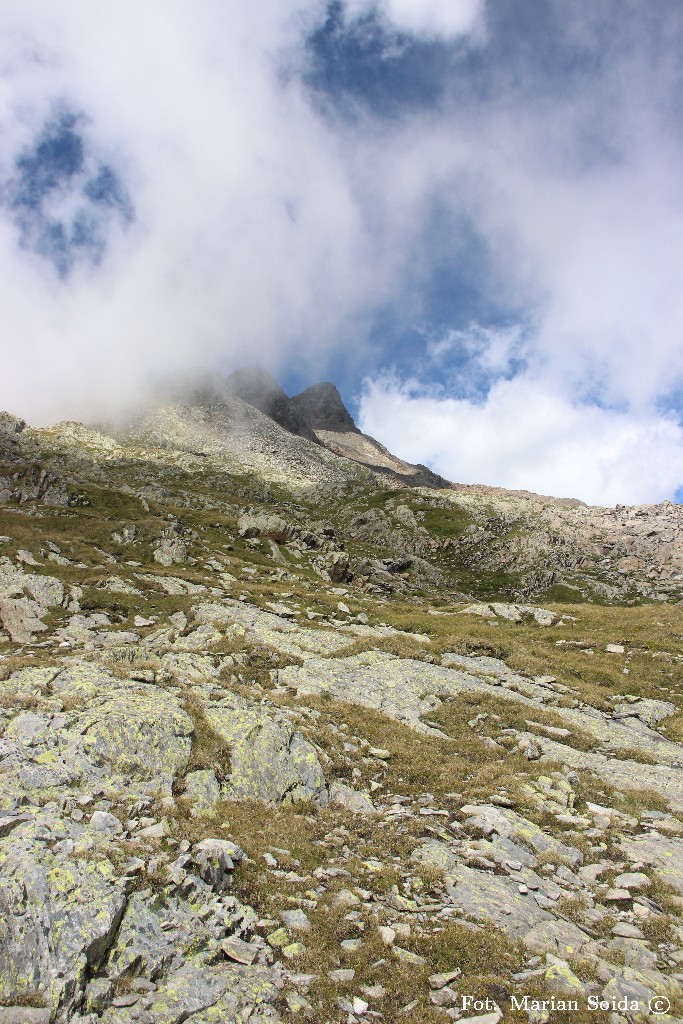 Monte Gavia z nad Passo Gavia