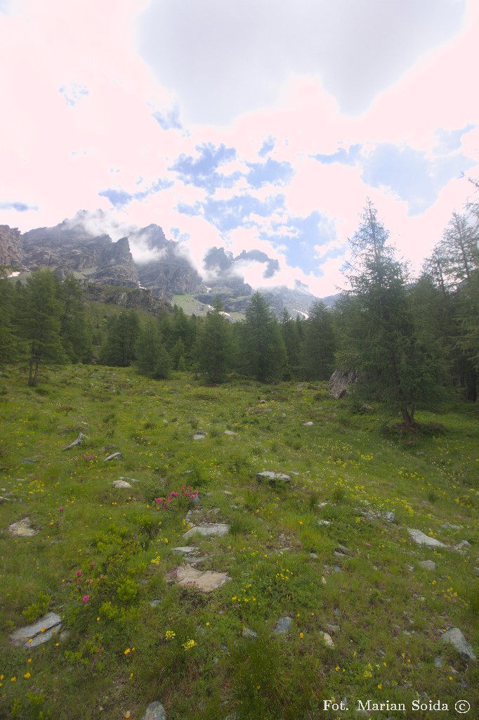 Alpejskie łąki nad Alpe Musella