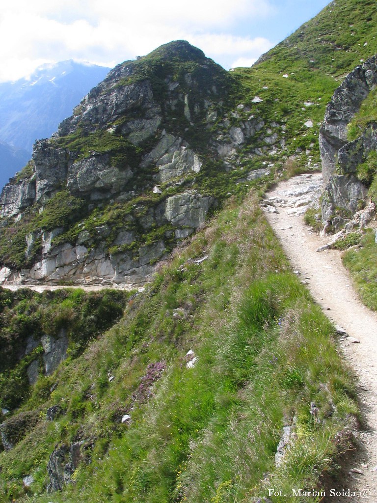 Ścieżka przez łąki alpejskie