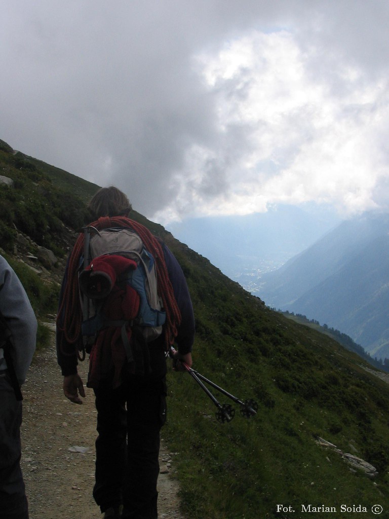 Ścieżka przez łąkę alpejską