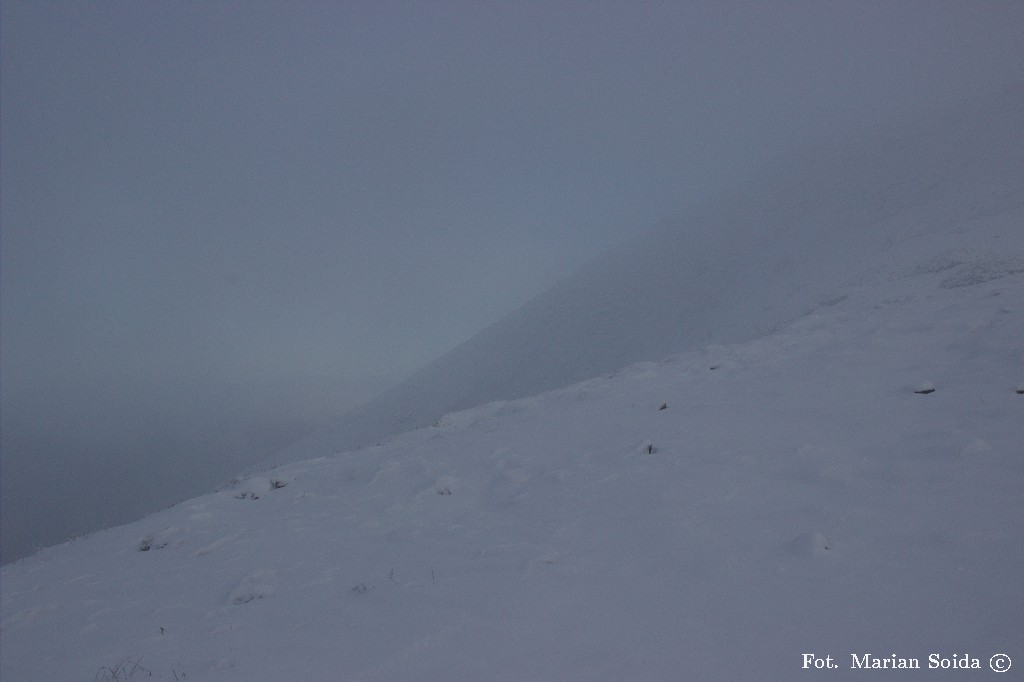 Widok w kierunku Diablaka z Zimnej Przełęczy