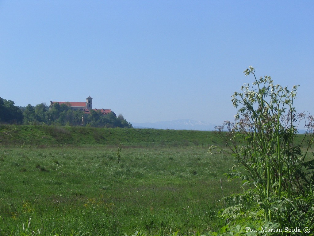 Klasztor w Tyńcu z Piekar