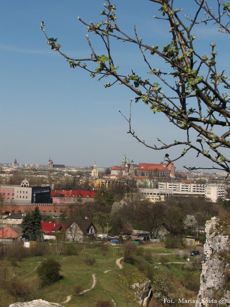 Widok na Wawel z Zakrzówka