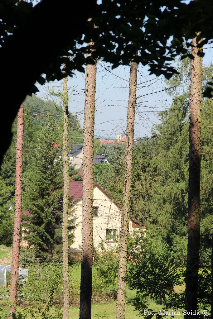 Widok na pobliski klasztor w Tyńcu