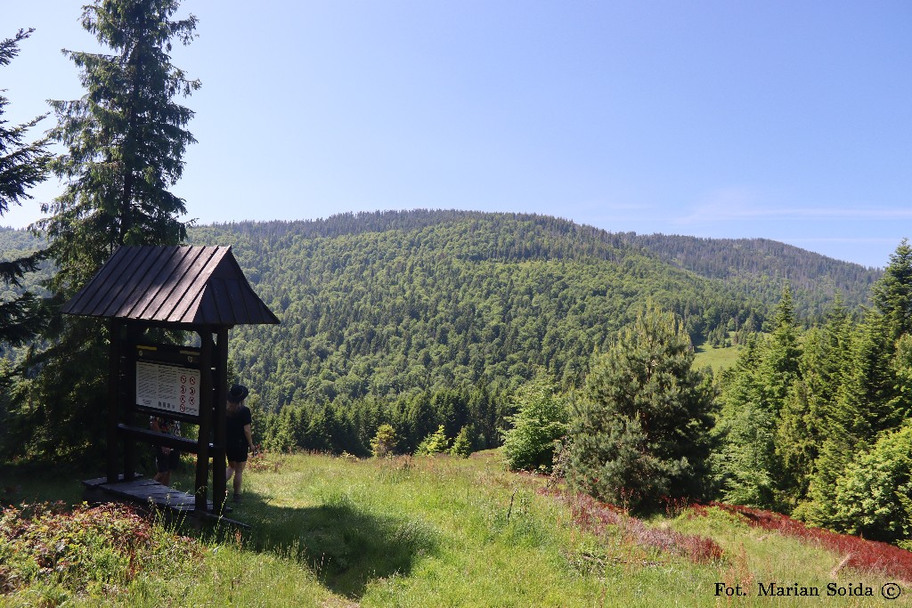 Widok na Kudłoń z Polany Podskały