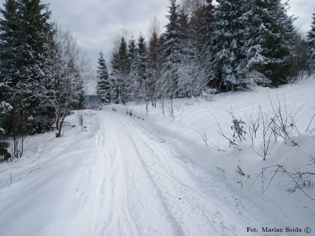 Droga prez Kulakowy Wierch