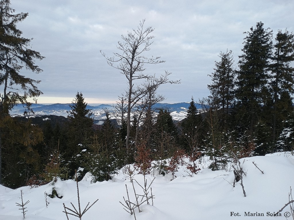Beskid Wyspowy z Obidowca