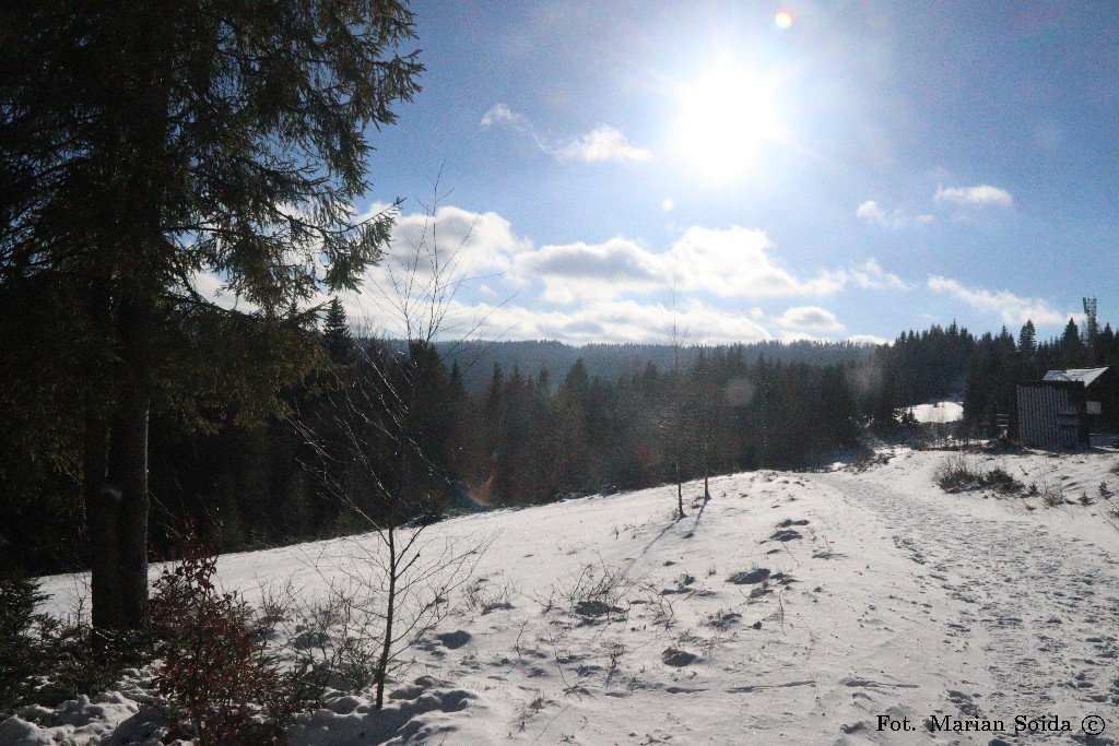 Obidowiec z Tobołczyka