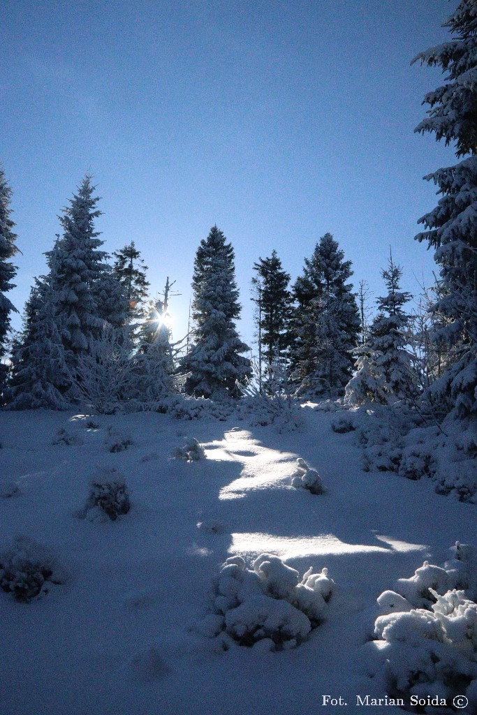 Bajki ciąg dalszy...