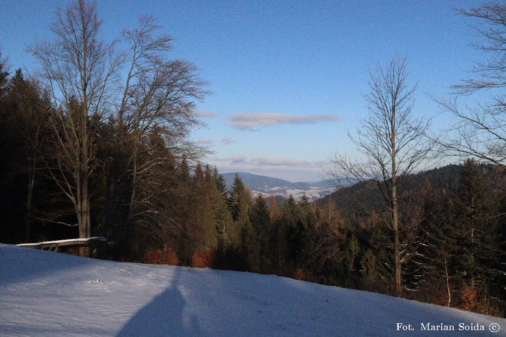Ćwilin z polany pod Mnistromą