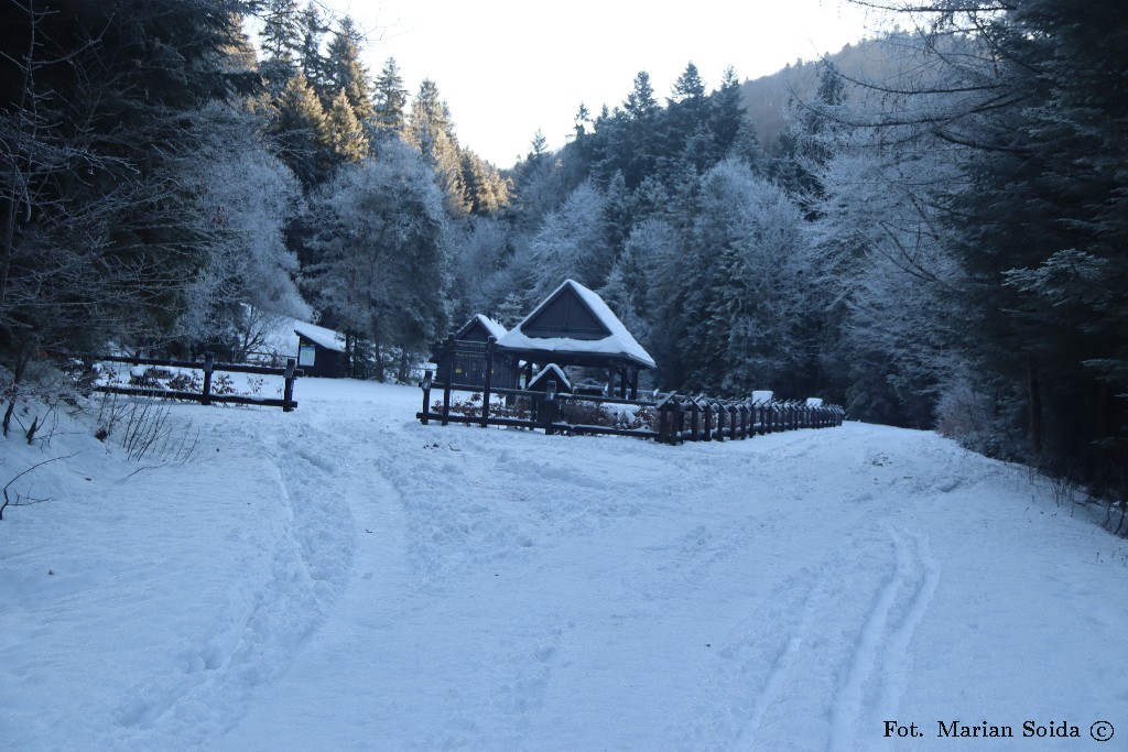 Pole biwakowe na Polanie Oberówka