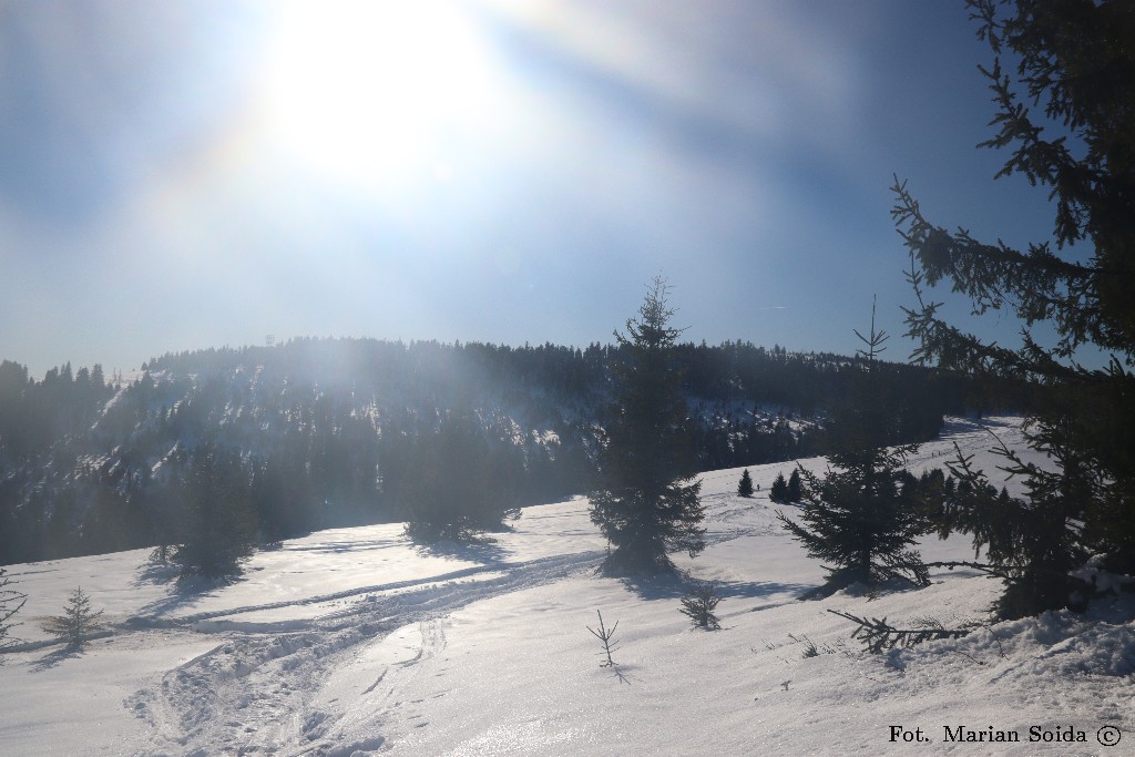 Turbacz z Hali Turbacz