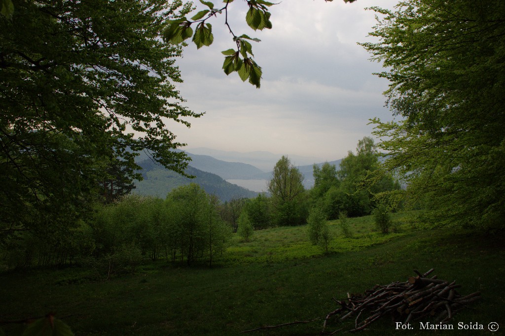 1 V 07:52: Widok na Jezioro Międzybrodzkie z okolicy Zasolnicy