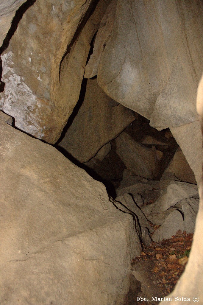 Jaskinia Zbujecka