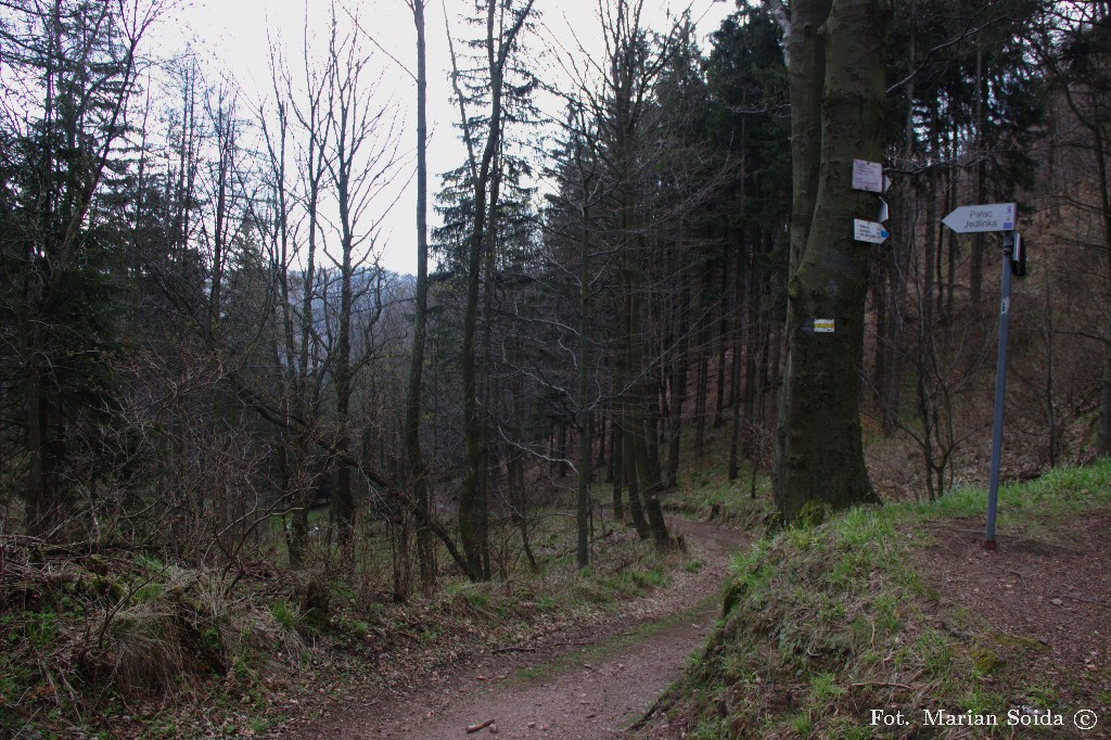 Droga, którą przyszedłem na Przełęcz pod Borową
