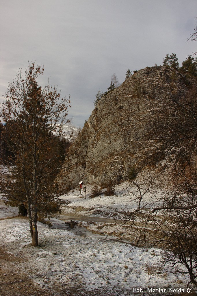 Dolina Białej Wody z podejścia pod Przełęcz Rozdziele