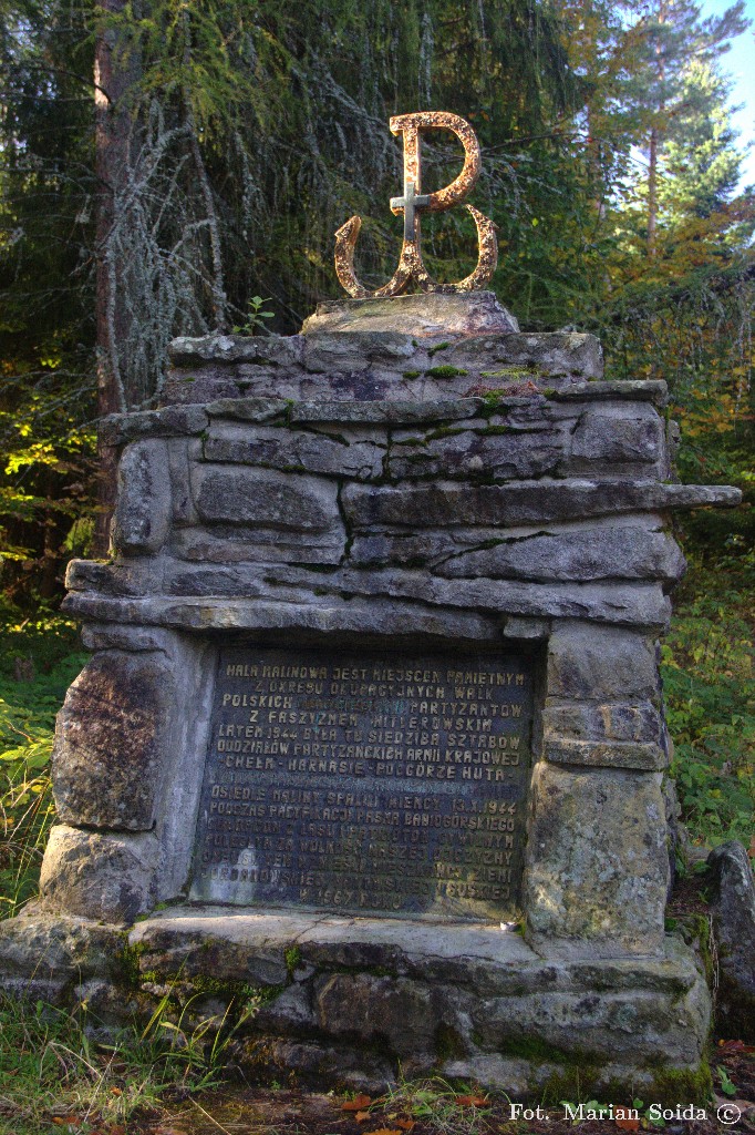 Pomnik na Przełęczy Malinowej
