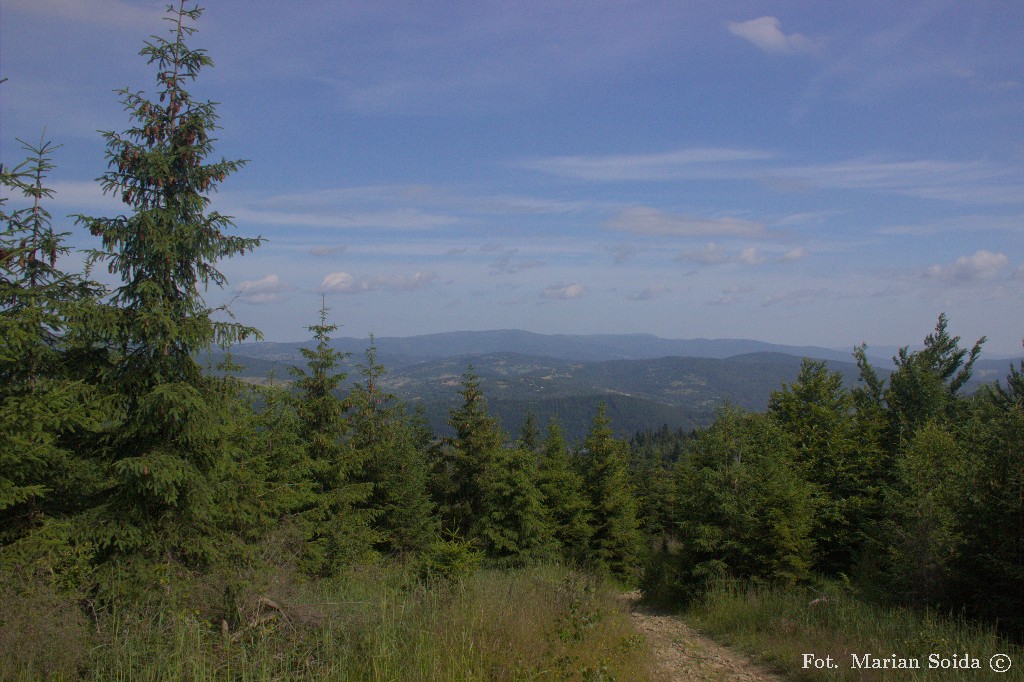 Widok na Beskid Śląski z zejścia do Rajczy