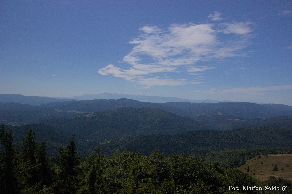 Gorc i Tatry z Mpogielicy