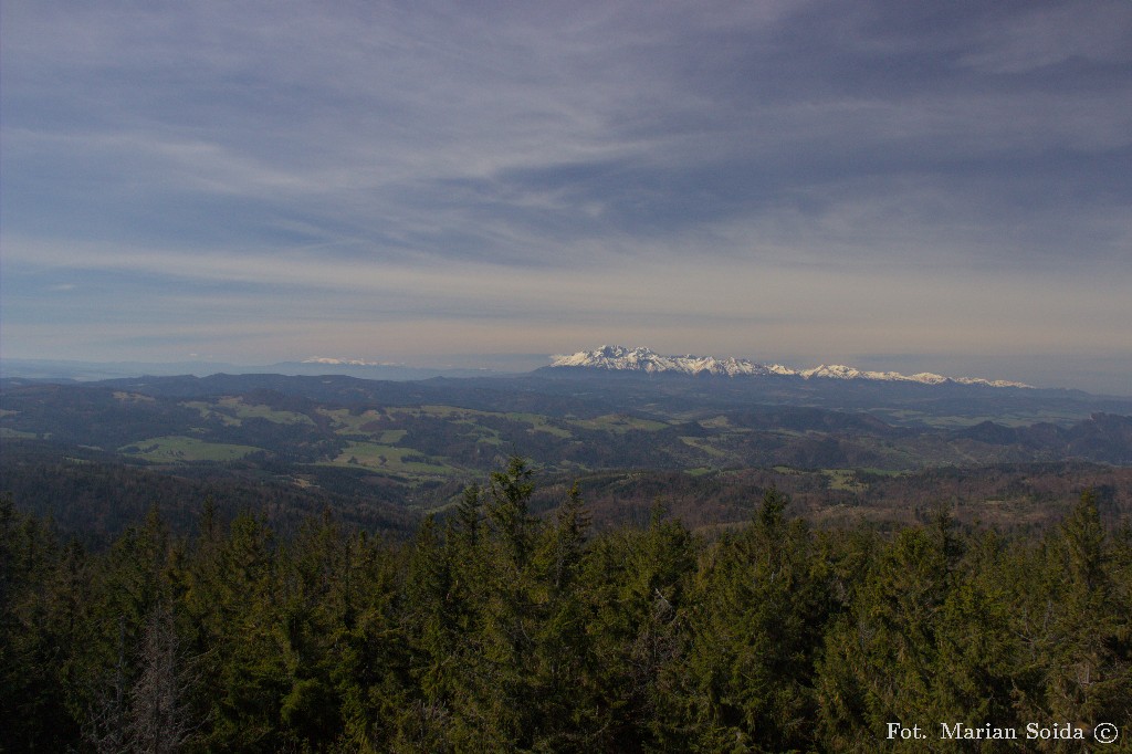 Widok z wieży na Tatry