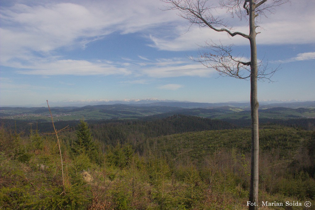 Tatry z okolicy Krawcowego Wierchu