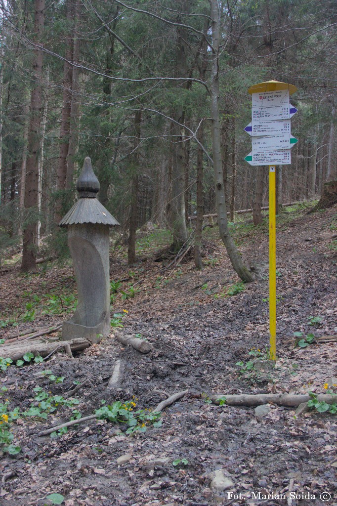 Źródło Jelenia Woda pod Oszusem