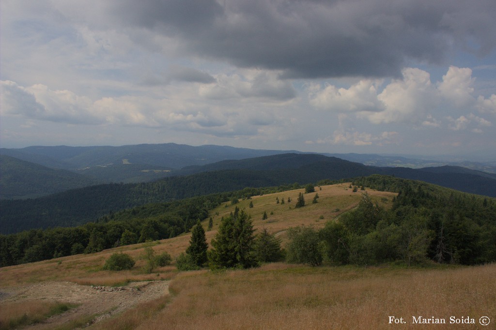 Polana Stumorgowa raz jeszcze