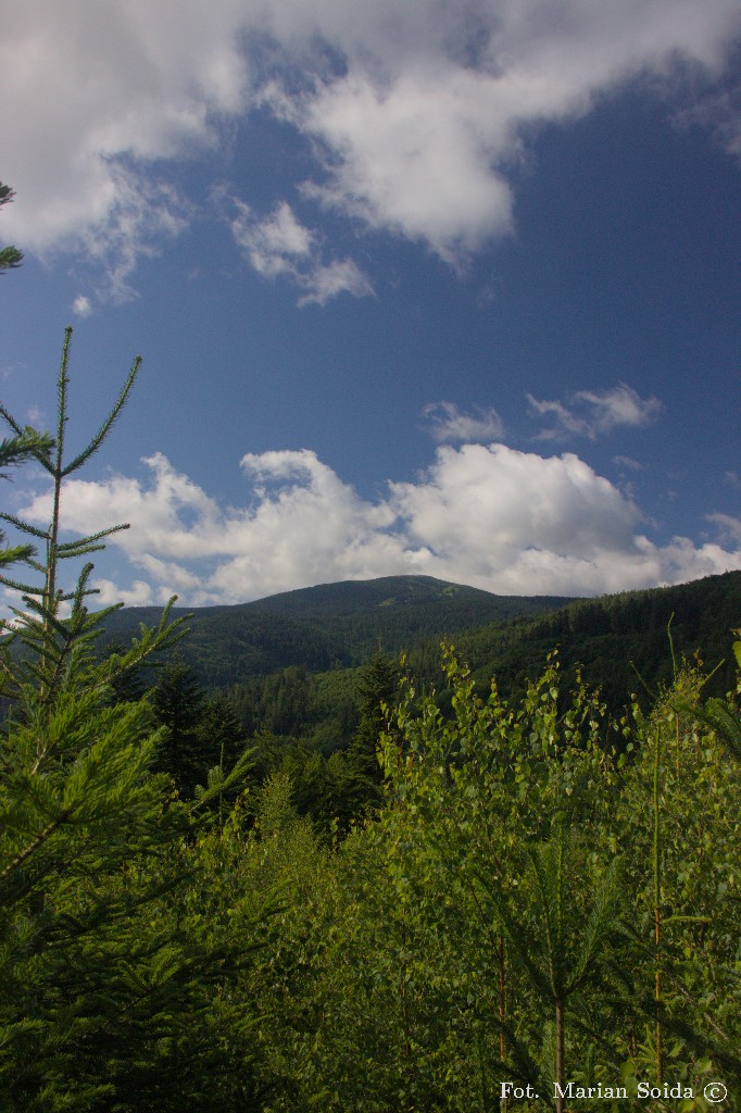 Widok na Pilsko spod Przysłopu (tego nad Korbielowem)