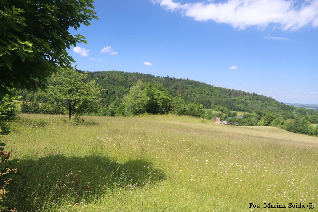 Dojście do Zdanowa