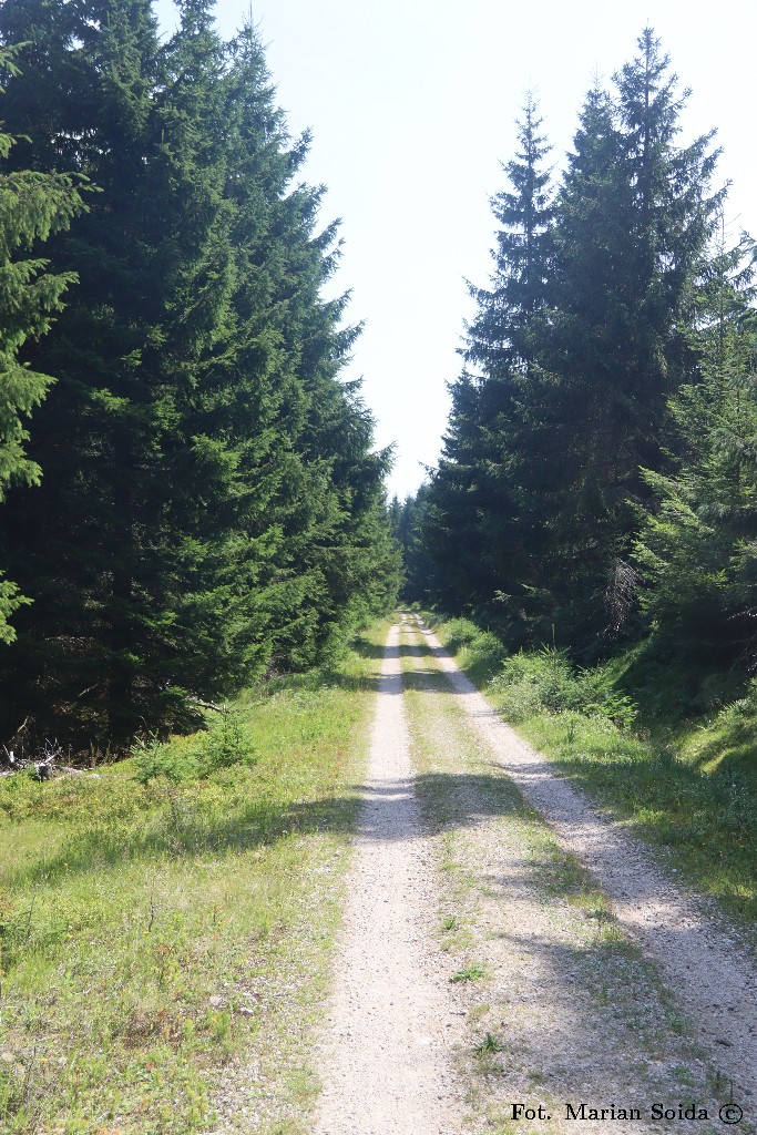 Trochę nudna Hřebenovka