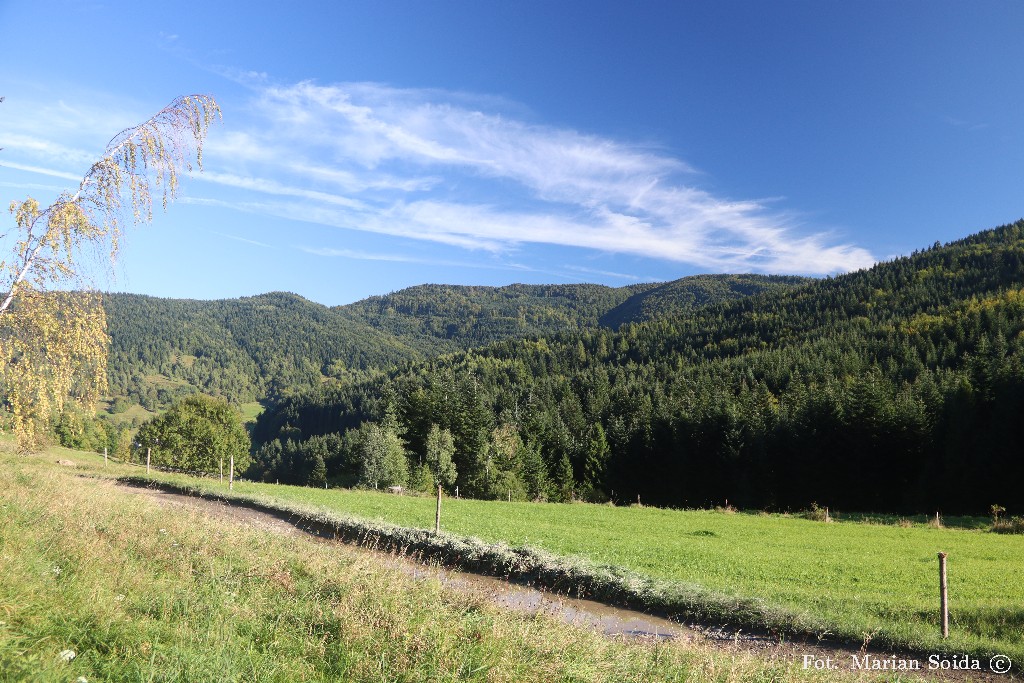 Kutrzyca i Jasień spod Kiczorki