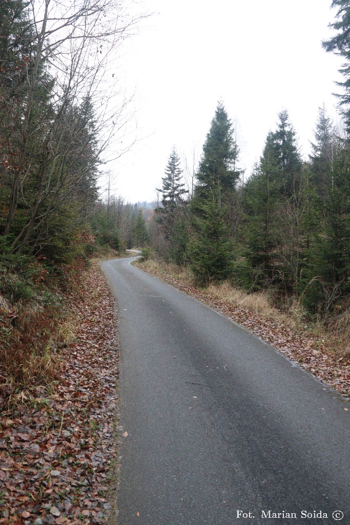 Wygodna beskidzka ścieżka