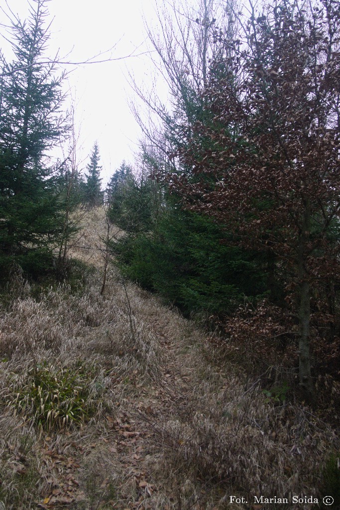 ... ale mona wybrać i inne