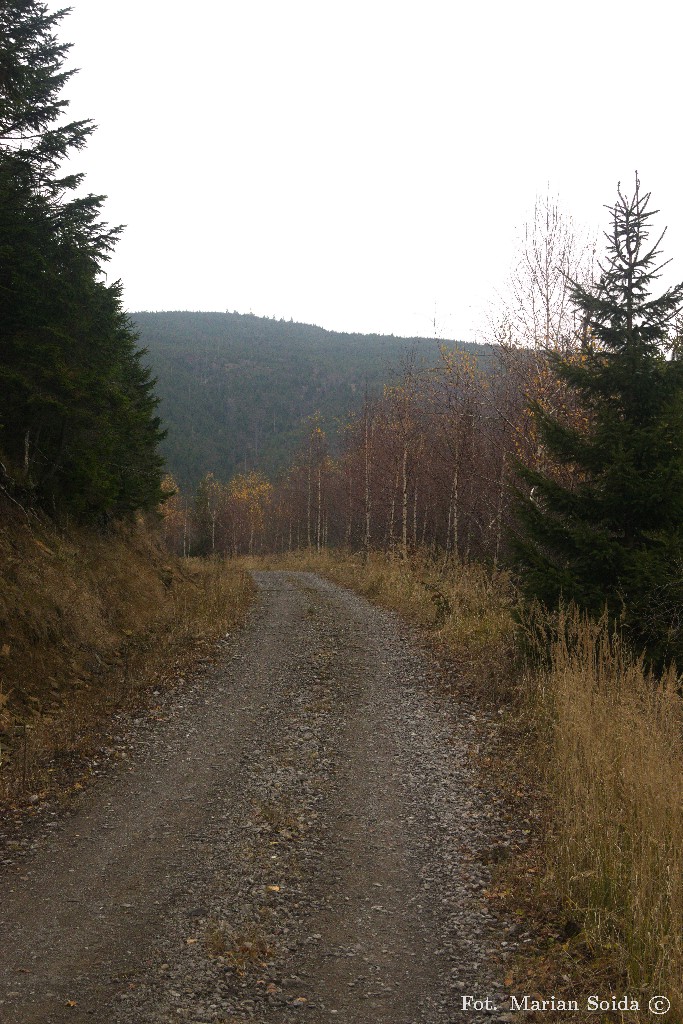 Szczyt Baraniej Góry z dystansu