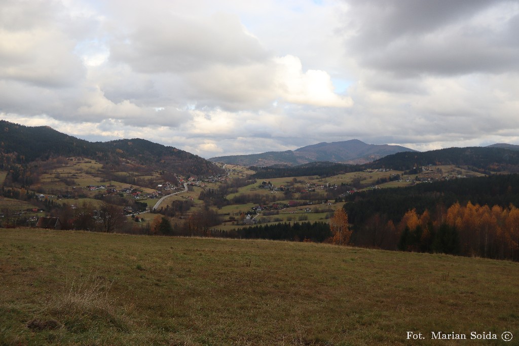 Mogielica z zejścia do Wilczyc