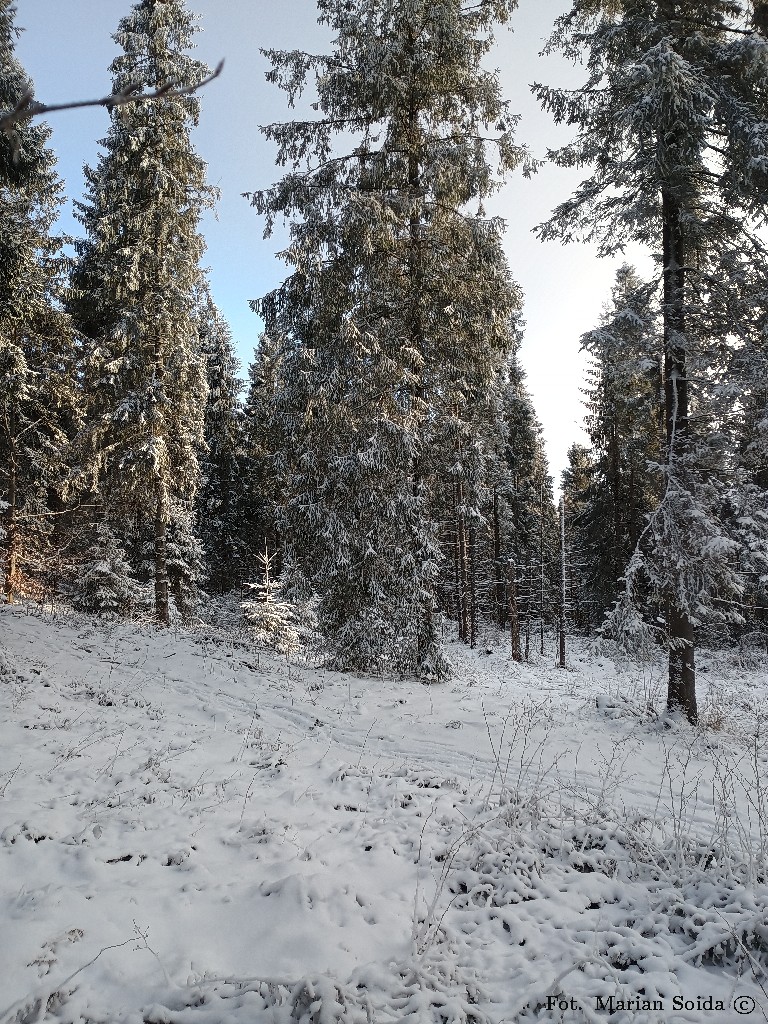 Prawie szczyt Modyni