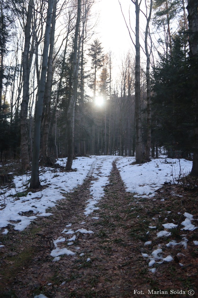 Resztki zimy pod Śnieżnicą