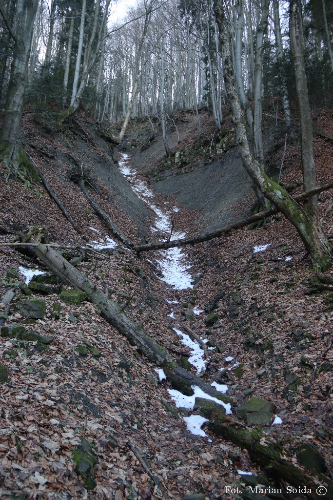 Śnieżnickie osuwiska