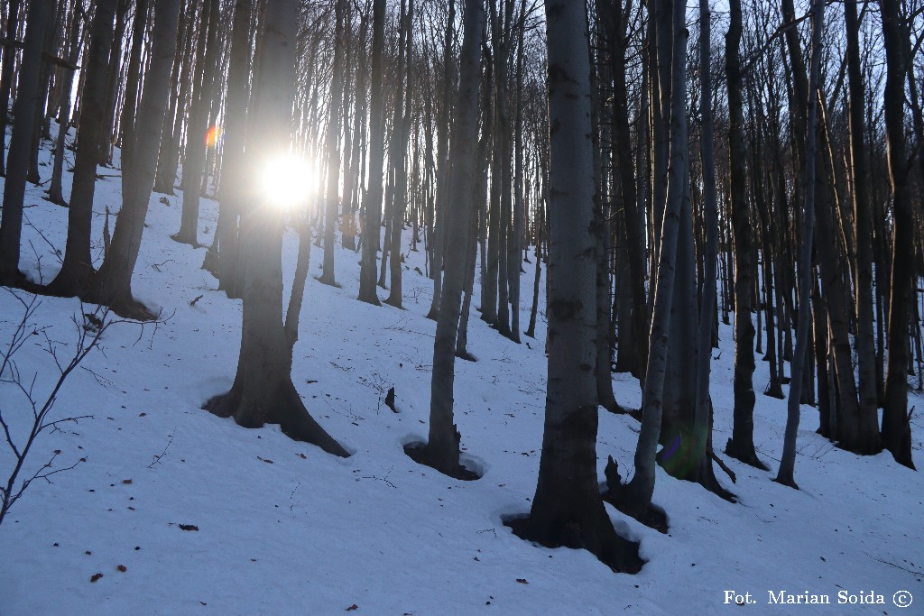 Wyżej jednak jeszcze zima trzyma