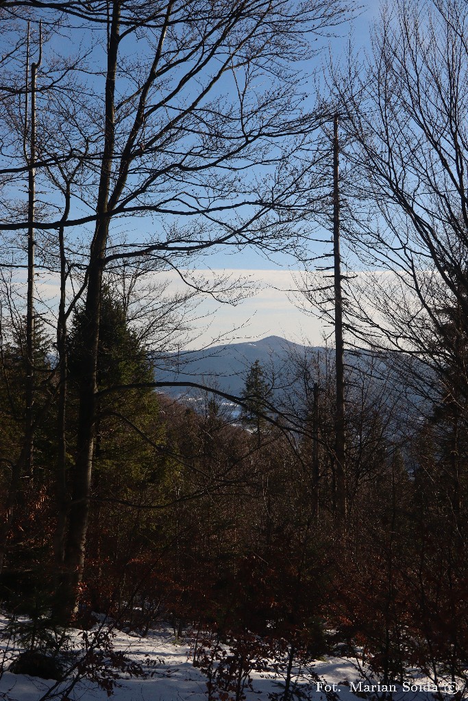 Mogielica spod Wierchów