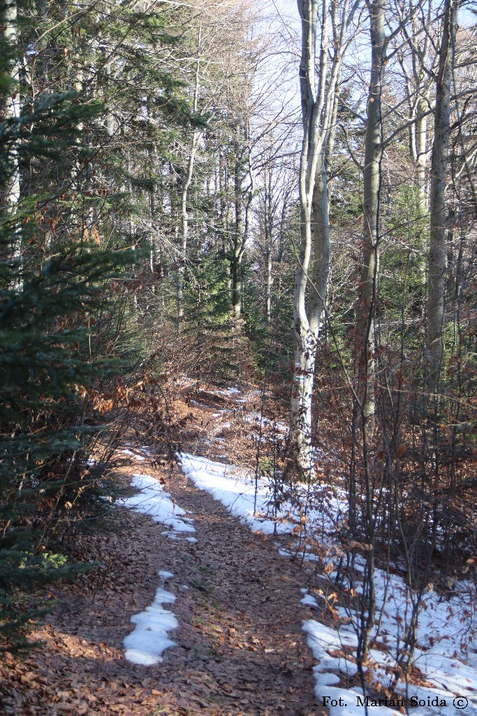 Już chyba wiosna...