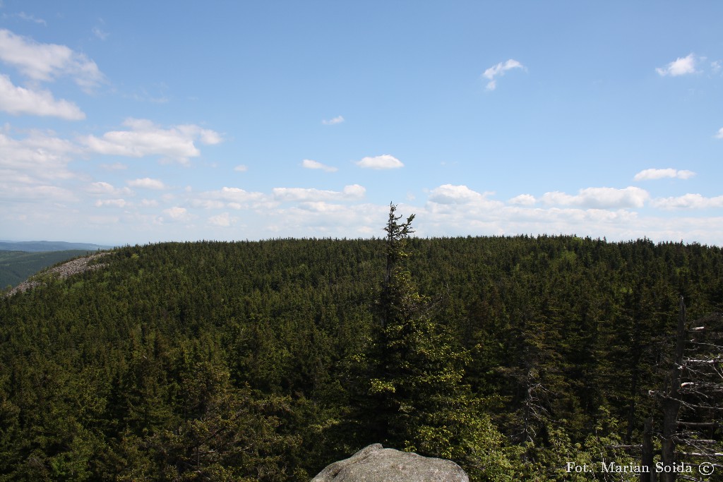 Skalnik - widok z punktu widokowego na szczyt