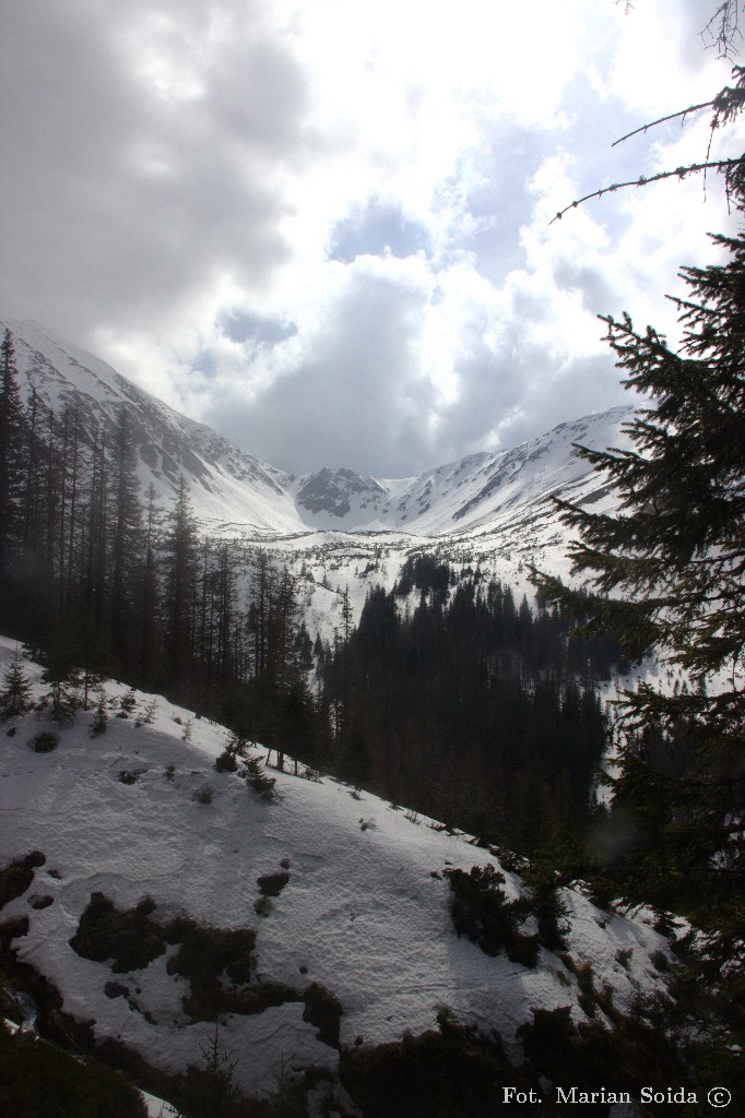 Widok na Niską Przełęcz z zejścia do Doliny Jarząbczej