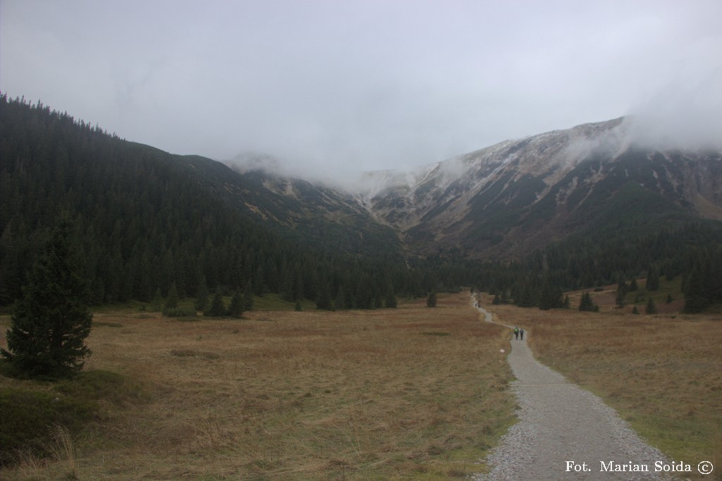 Przełęcz pod Kopą Kondracką z Doliny Kondratowej