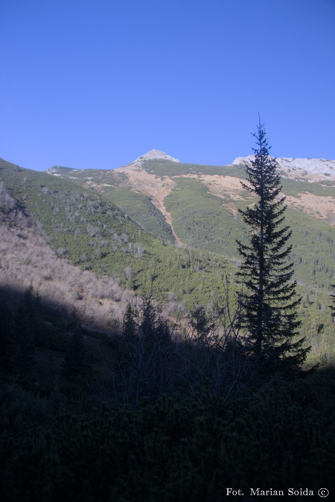 Giewont z podejścia pod przełęcz